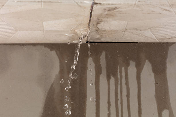 Professional Structural Drying technician working in Chardon, OH